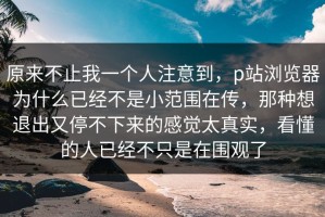原来不止我一个人注意到，p站浏览器为什么已经不是小范围在传，那种想退出又停不下来的感觉太真实，看懂的人已经不只是在围观了