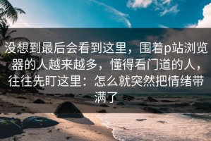 没想到最后会看到这里，围着p站浏览器的人越来越多，懂得看门道的人，往往先盯这里：怎么就突然把情绪带满了