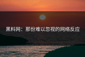黑料网：那份难以忽视的网络反应