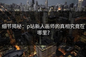 细节揭秘：p站新人画师的真相究竟在哪里？
