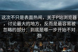 这次不只是表面热闹，关于P站浏览器，讨论最大的地方，反而是最容易被忽略的部分：到底是哪一步开始不对劲