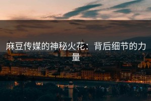 麻豆传媒的神秘火花：背后细节的力量
