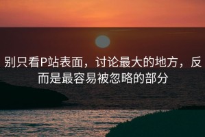 别只看P站表面，讨论最大的地方，反而是最容易被忽略的部分
