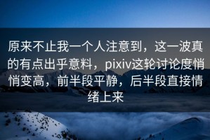 原来不止我一个人注意到，这一波真的有点出乎意料，pixiv这轮讨论度悄悄变高，前半段平静，后半段直接情绪上来
