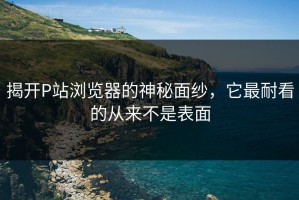 揭开P站浏览器的神秘面纱，它最耐看的从来不是表面