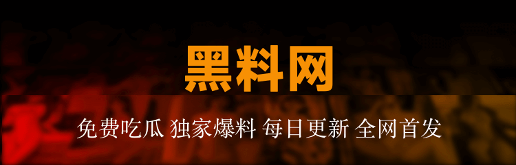 没想到最后会看到这里，p站网页版这一轮热度确实压不住了，不少人原本不当回事，看到细节后直接改口