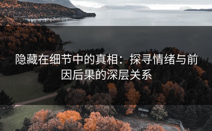 隐藏在细节中的真相：探寻情绪与前因后果的深层关系