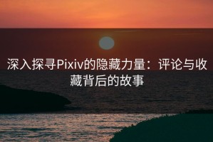 深入探寻Pixiv的隐藏力量：评论与收藏背后的故事