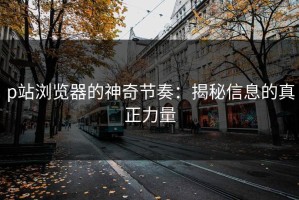 p站浏览器的神奇节奏：揭秘信息的真正力量