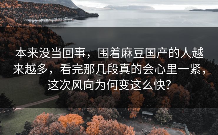 本来没当回事,围着麻豆国产的人越来越多,看完那几段真的会心里一紧,这次风向为何变这么快? 本来没当回事,围着麻豆国产的人越来越多,看完那几段真的会心里一紧,这次风向为何变这么快?