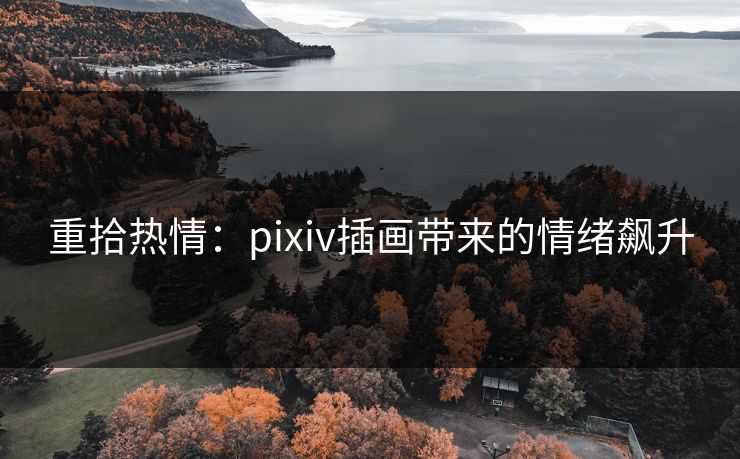 重拾热情:pixiv插画带来的情绪飙升 重拾热情:pixiv插画带来的情绪飙升